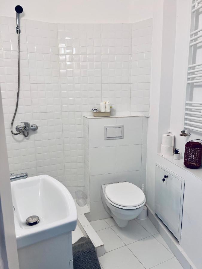 Apartment Friends Central Oradea Dış mekan fotoğraf