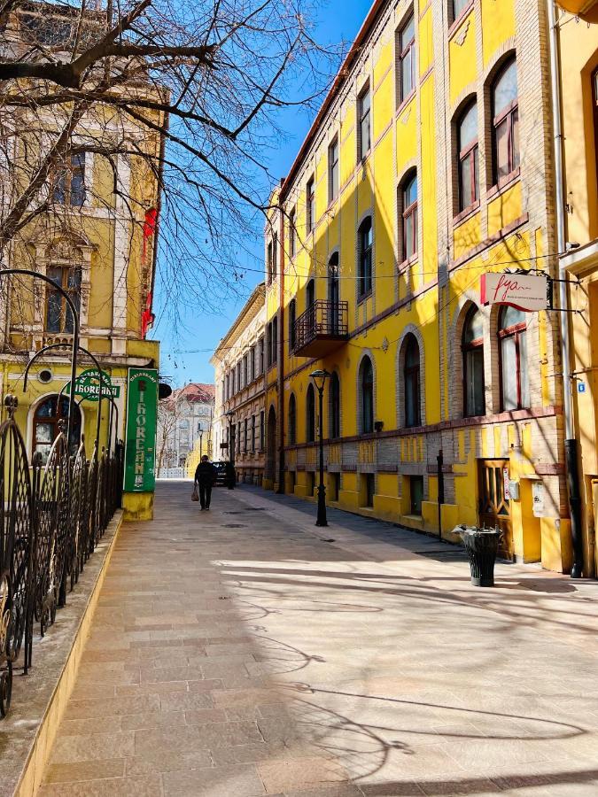 Apartment Friends Central Oradea Dış mekan fotoğraf